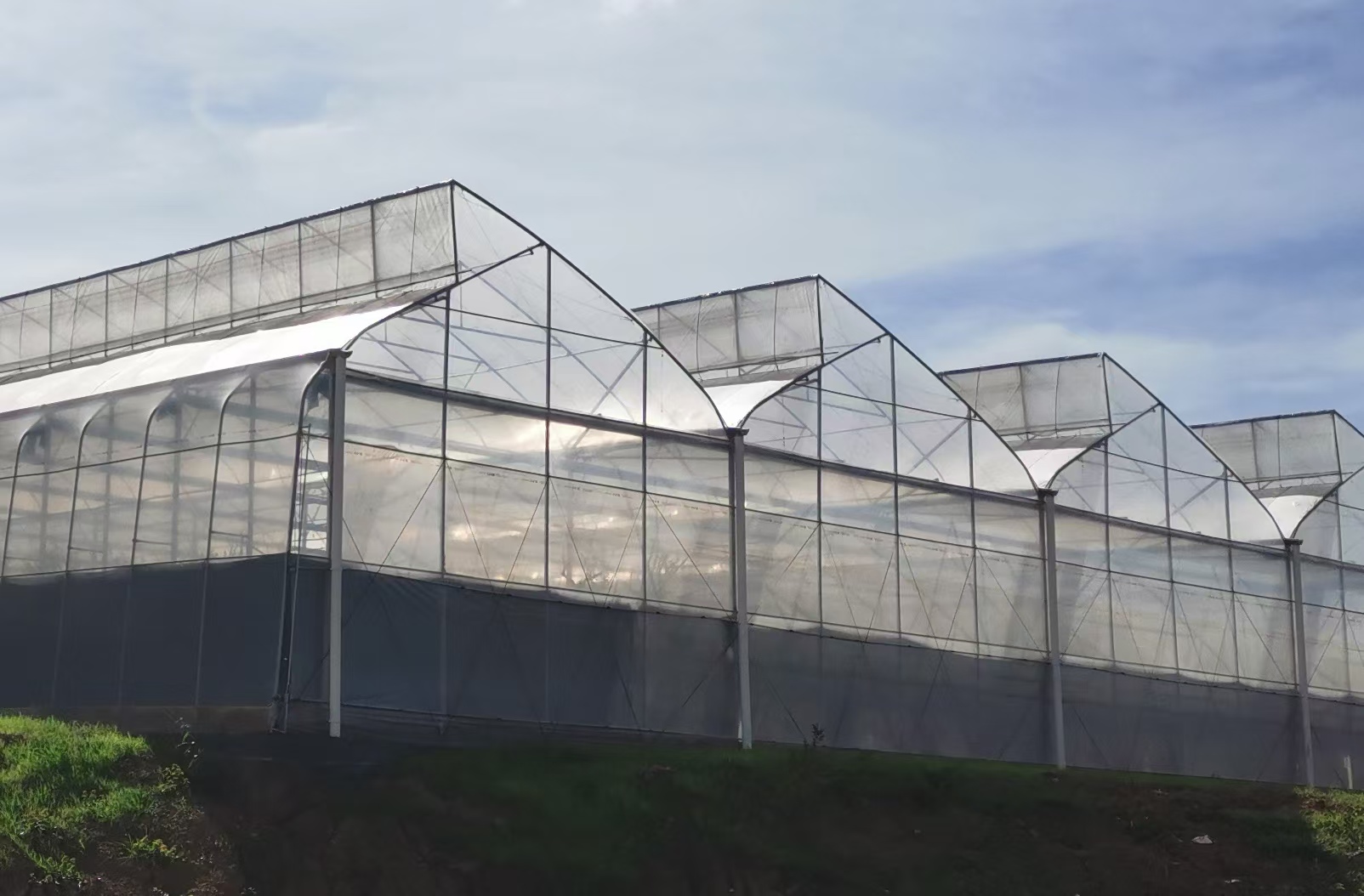 /assets/images/home/SawtoothGreenhouse.jpg